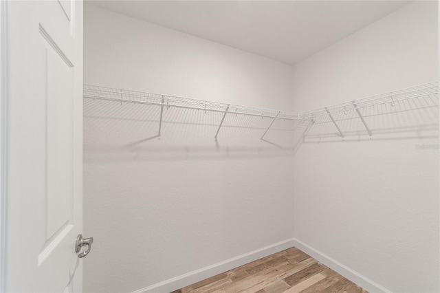 walk in closet featuring hardwood / wood-style floors