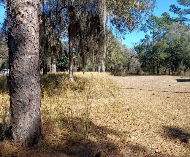 LOT9 SW 207th Ct, Dunnellon FL, 34431 land for sale