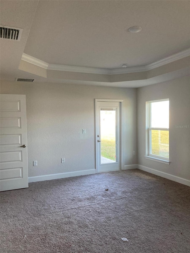 unfurnished room featuring crown molding, a raised ceiling, and carpet