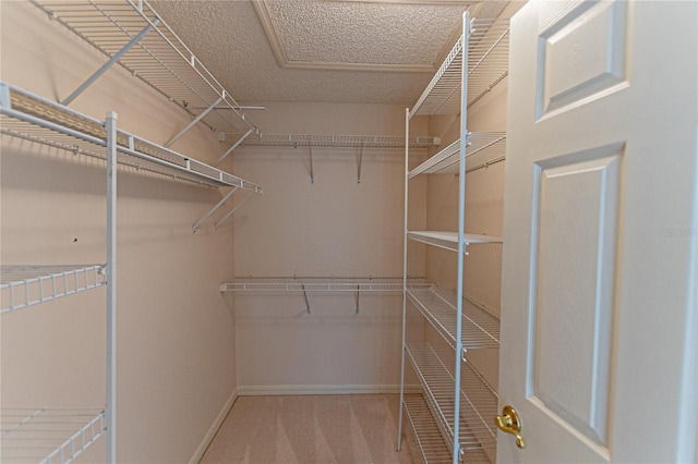 walk in closet featuring light colored carpet