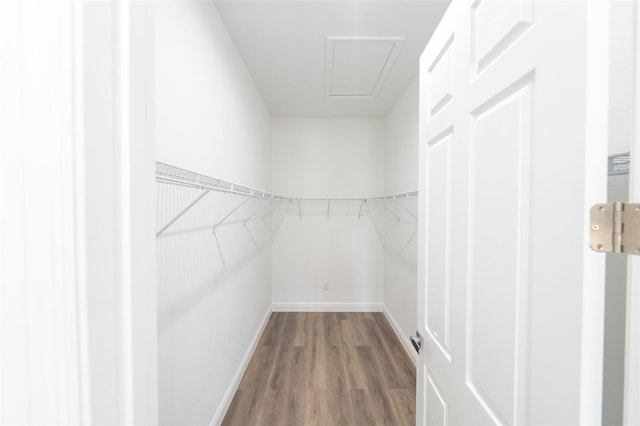 spacious closet with hardwood / wood-style flooring