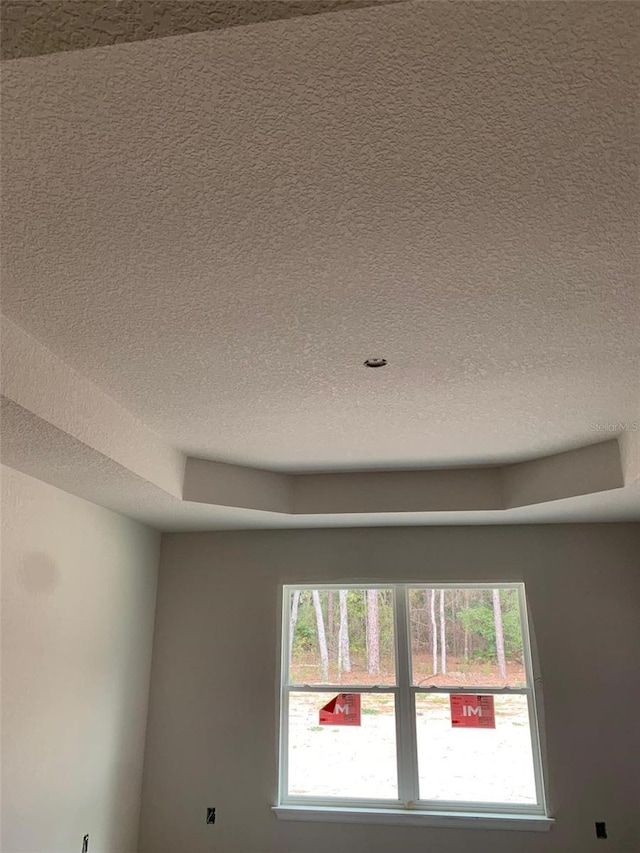 interior space featuring a raised ceiling and a textured ceiling