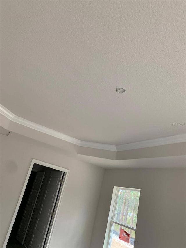 interior details featuring crown molding and a textured ceiling