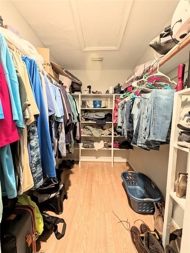 spacious closet featuring wood-type flooring