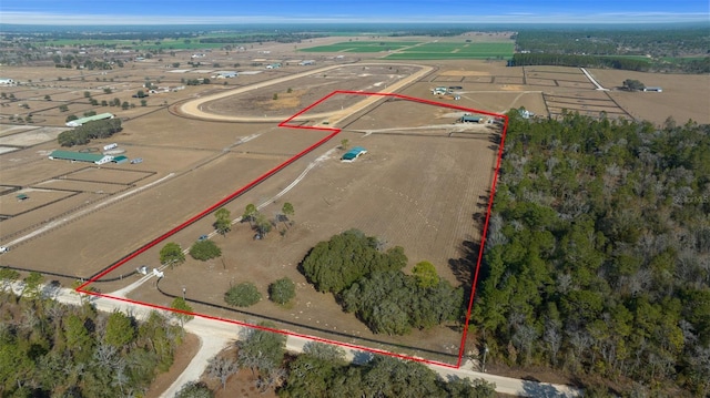 12451 NE 20th St, Williston, FL 32696 - photo 1