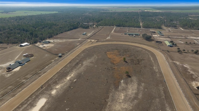 12451 NE 20th St, Williston, FL 32696 - photo 60