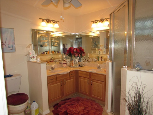 bathroom featuring vanity, toilet, and a shower with door