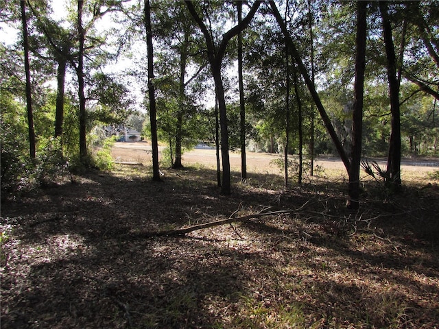 view of landscape