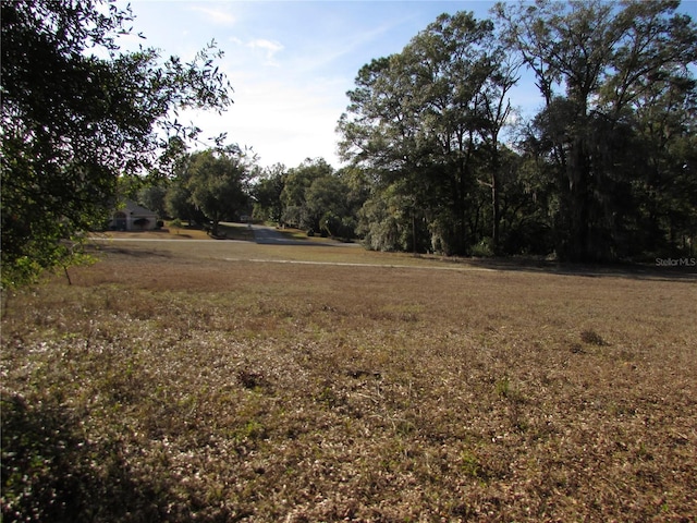 view of local wilderness