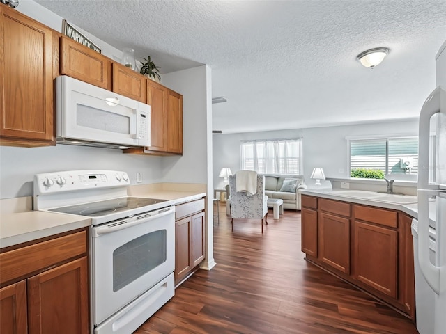 kitchen with dark wood-type flooring, white appliances, sink, and a wealth of natural light