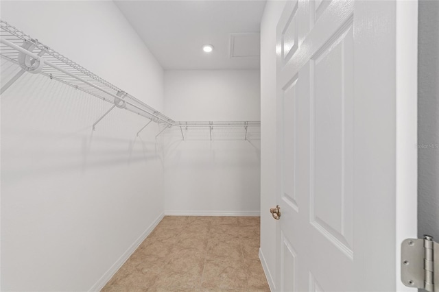 view of spacious closet