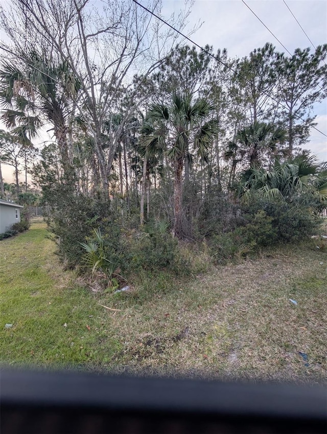 50 Llama Trl, Palm Coast FL, 32164 land for sale