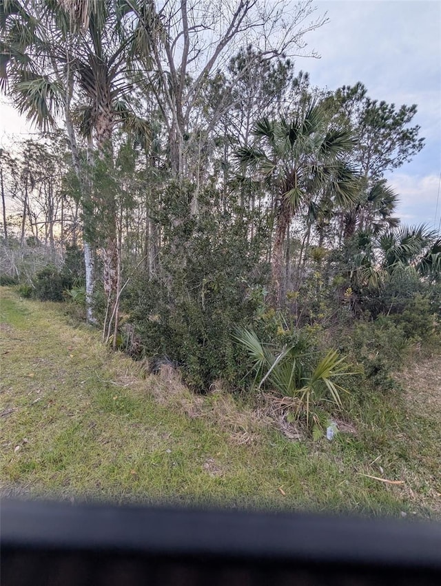 Listing photo 3 for 50 Llama Trl, Palm Coast FL 32164