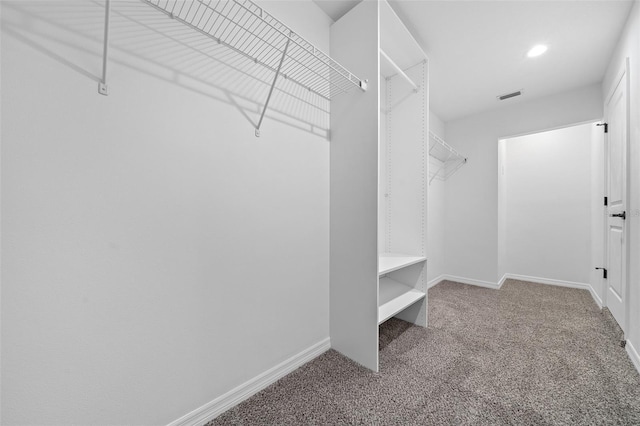 walk in closet featuring carpet floors