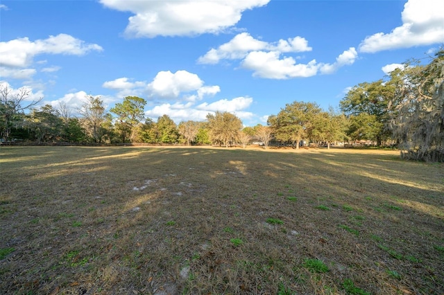 9748 SW 74th Ave, Ocala, FL 34476 - photo 59
