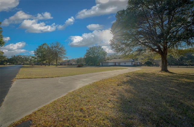 9748 SW 74th Ave, Ocala, FL 34476 - photo 65