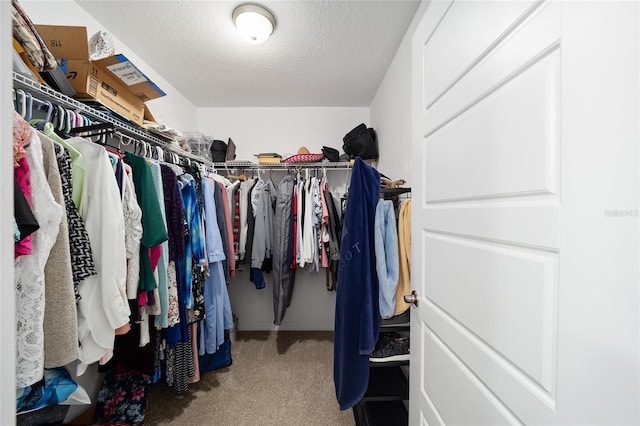 walk in closet featuring carpet