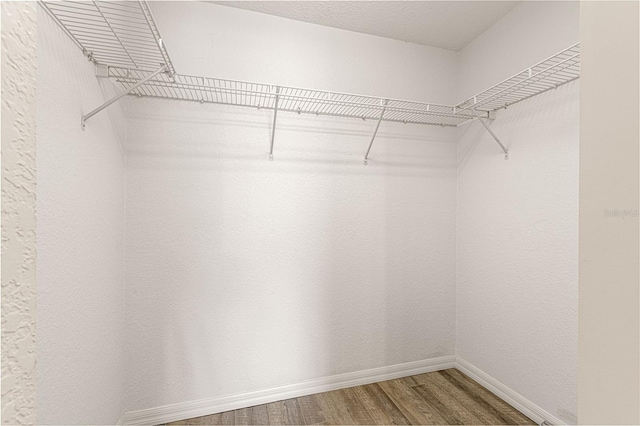 spacious closet featuring hardwood / wood-style floors