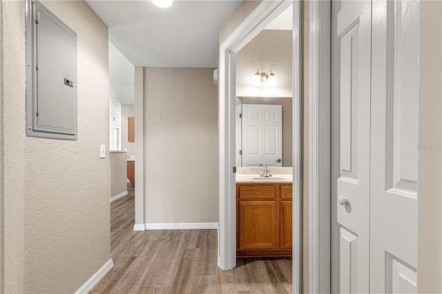 hall with wood-type flooring, sink, and electric panel