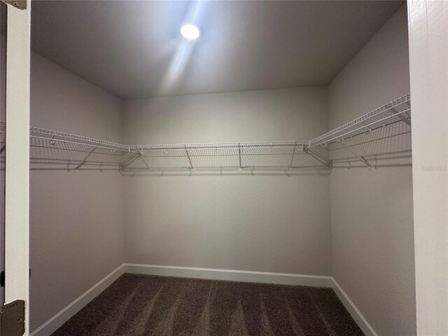 walk in closet with dark colored carpet