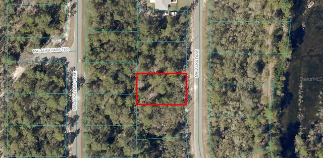 Malauka Pass, Ocklawaha FL, 32179 land for sale