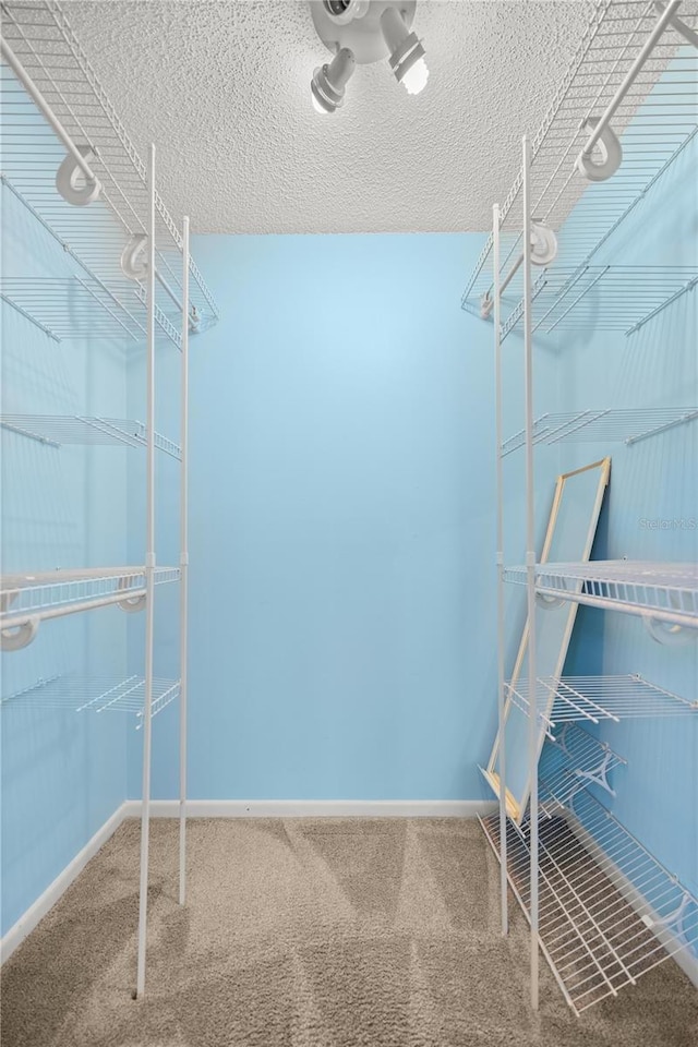 spacious closet featuring carpet floors