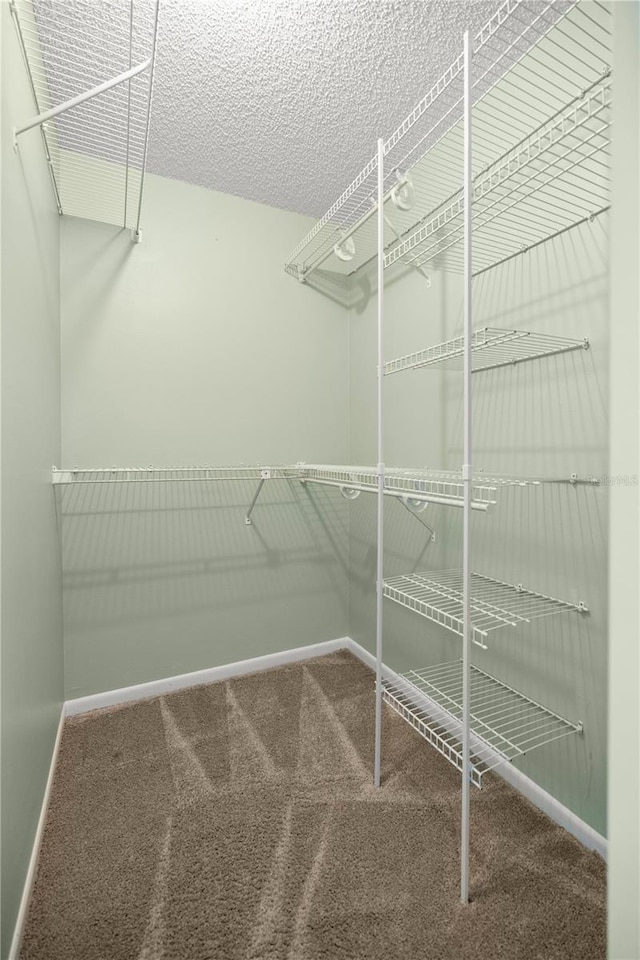 spacious closet featuring carpet flooring