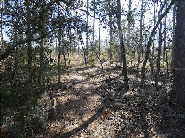 view of local wilderness