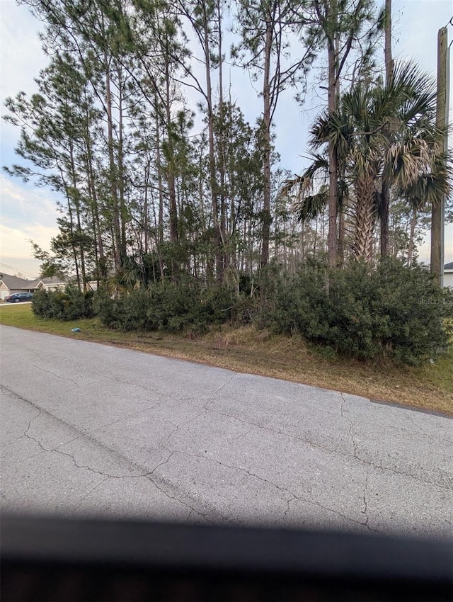 51 Llama Trl, Palm Coast FL, 32164 land for sale