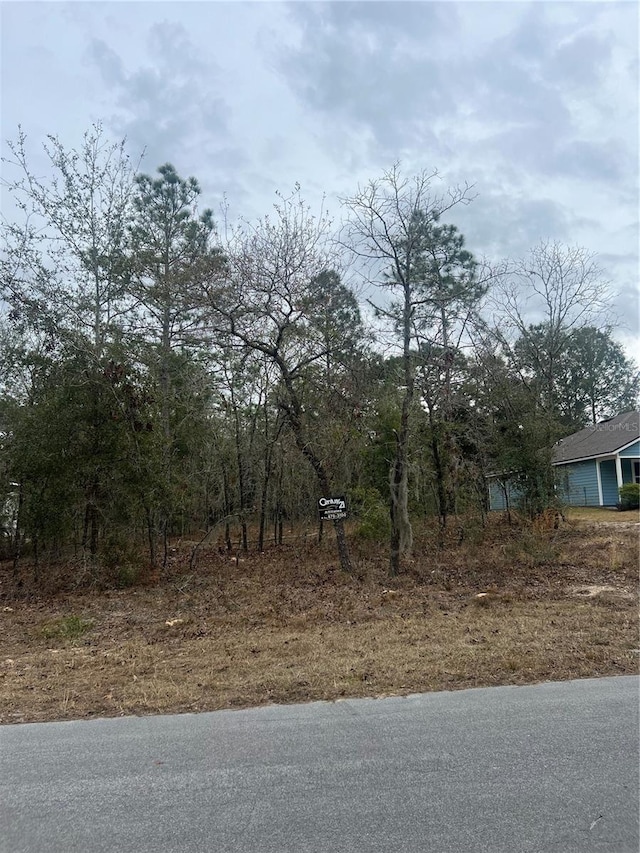 Listing photo 3 for TBDLOT1 NE 154th Ave, Williston FL 32696