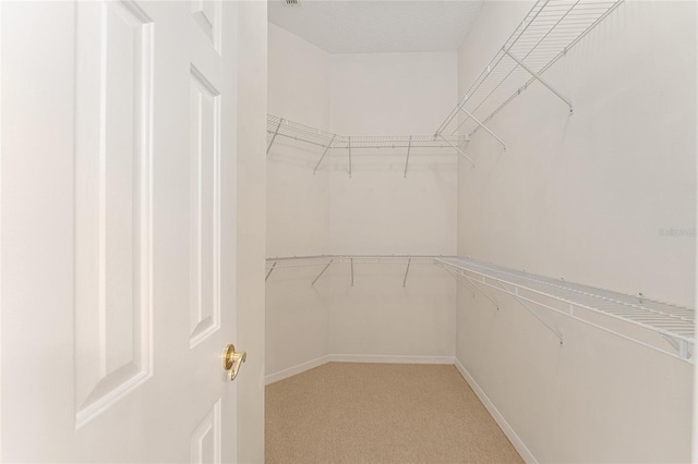 walk in closet featuring light colored carpet