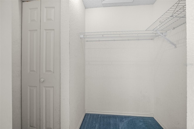 8450 SW 115th Street Rd, Ocala, FL 34481 - spacious closet with carpet flooring