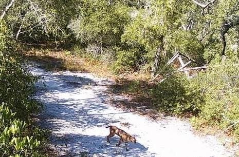 5408 S Benton Ter, Homosassa, FL 34448
