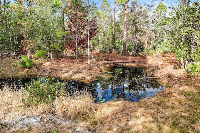 5408 S Benton Ter, Homosassa, FL 34448