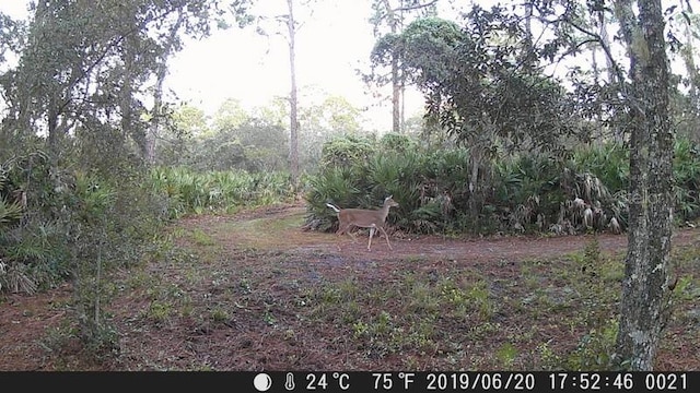 5408 S Benton Ter, Homosassa, FL 34448
