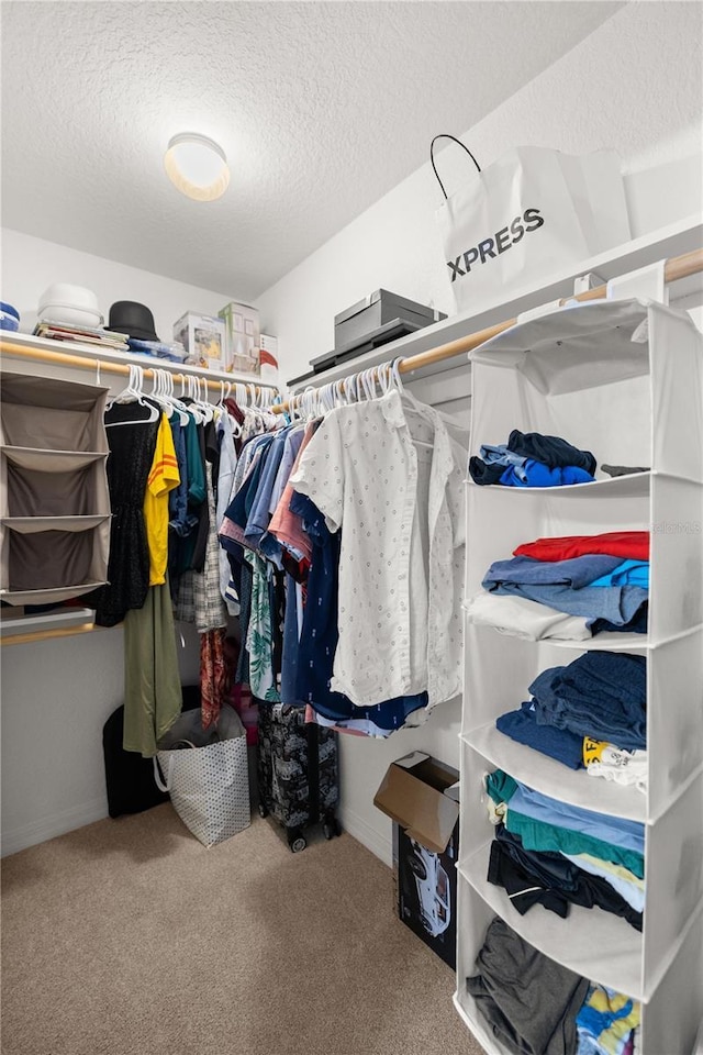 spacious closet featuring carpet flooring