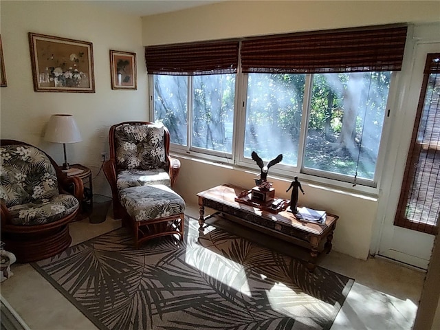 sitting room with a wealth of natural light