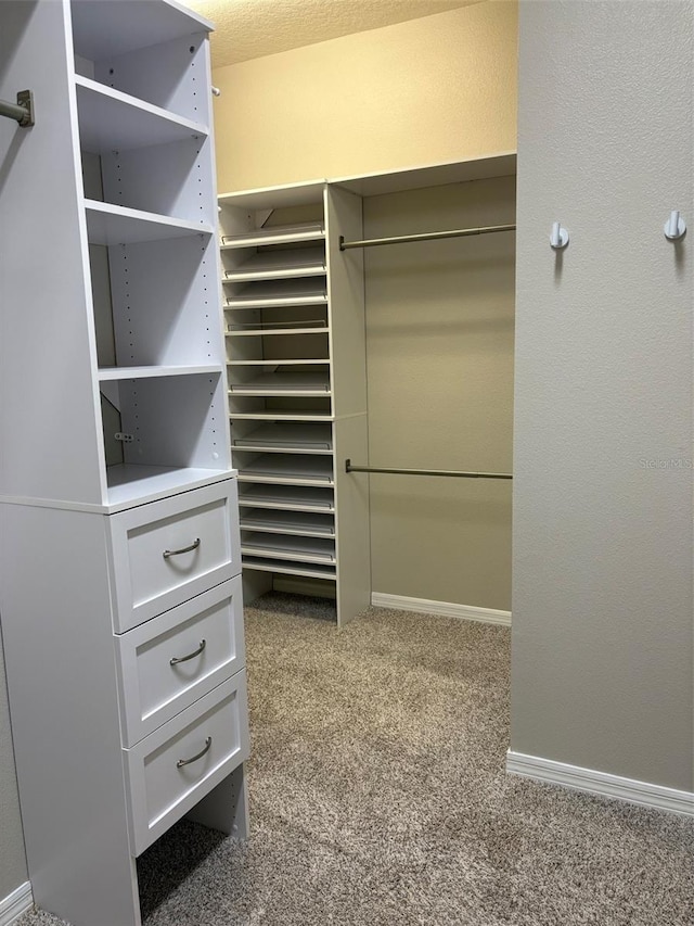 spacious closet with light carpet