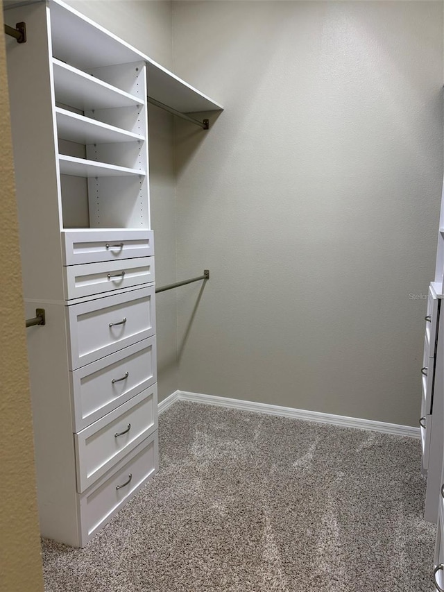 spacious closet with carpet floors