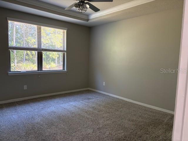 spare room with a tray ceiling, carpet floors, ornamental molding, and ceiling fan