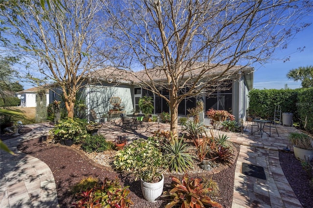 view of yard featuring a patio