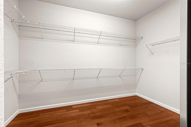 walk in closet with hardwood / wood-style flooring