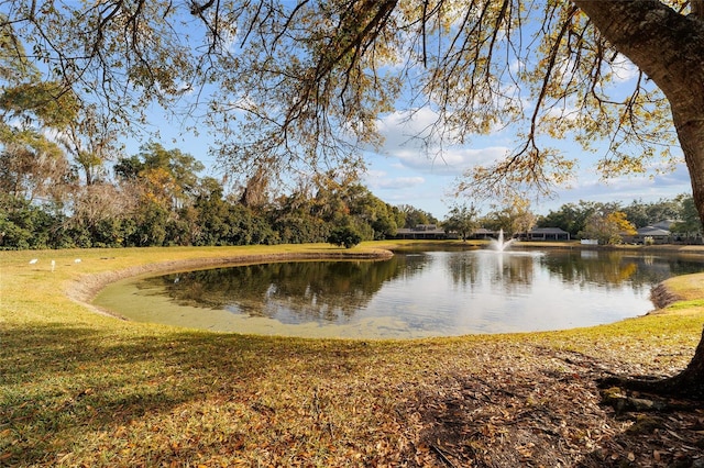 view of water feature