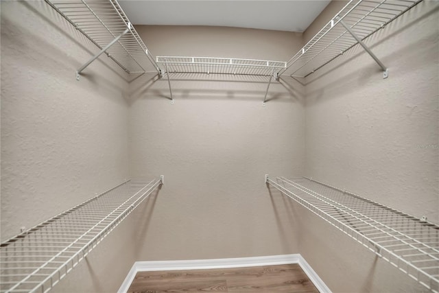 walk in closet with wood-type flooring