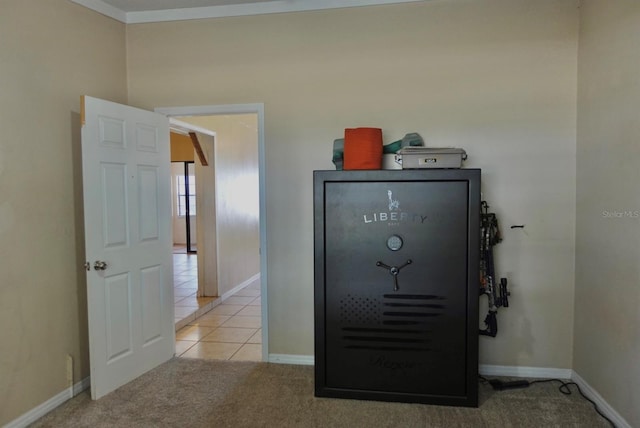 room details with carpet floors