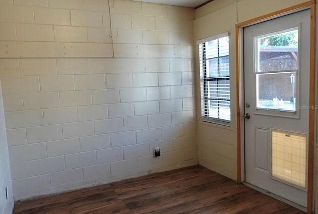 clothes washing area with dark hardwood / wood-style floors