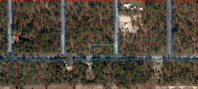 Listing photo 2 for LOT9 SE 135th Ct, Dunnellon FL 34431