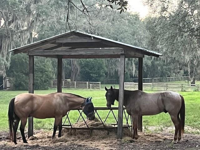 view of horse barn