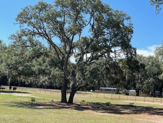 10245 SW 105th St, Ocala, FL 34481 - view of yard with a view of rural / pastoral area