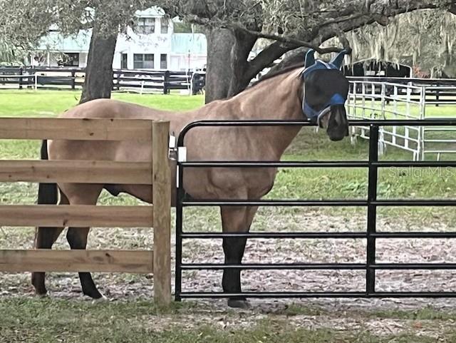 10245 SW 105th St, Ocala, FL 34481 - view of horse barn